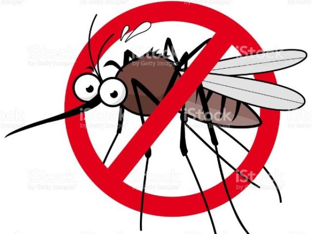 Comment se protéger des moustiques pour cette été dans les Alpes Maritimes.